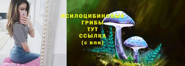 не бодяженный Краснотурьинск