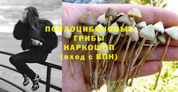 MDMA Краснослободск