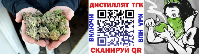 ссылка на мегу маркетплейс  Новосибирск  ТГК гашишное масло  сколько стоит 