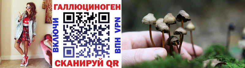 ссылка на мегу рабочий сайт  Новосибирск  Псилоцибиновые грибы MAGIC MUSHROOMS  дарнет шоп 